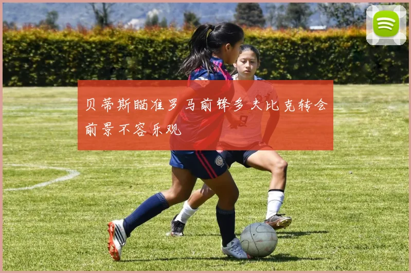 贝蒂斯瞄准罗马前锋多夫比克转会前景不容乐观