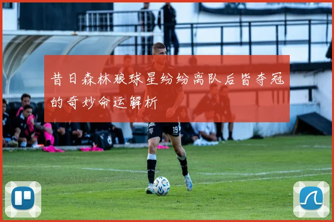 昔日森林狼球星纷纷离队后皆夺冠的奇妙命运解析